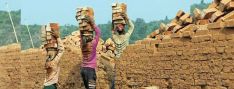 आन्तरिक श्रमबजारमै विदेशी श्रमिकको भर