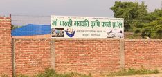 सात करोड लगानीमा च्याउ उद्योग