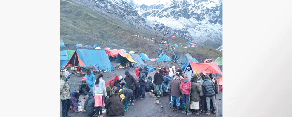 Yarsagumba production declines in East Rukum, market prices soar