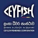 Fisheries Corporation drains Rs.100 million monthly due to corruption