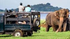 Yala, Bundala safari jeep fares to be increased from February 1: Association