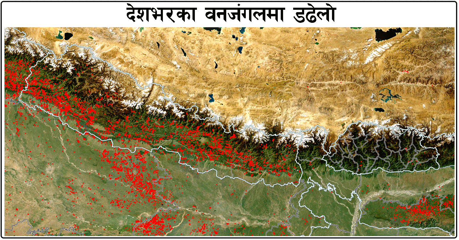 नियन्त्रणबाहिर आगलागी र डढेलो