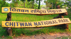 CNP arrests six on charge of trafficking rhino horn
