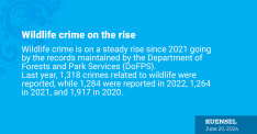 Wildlife crime on the rise