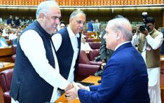 Shehbaz offers olive branch to PTI again