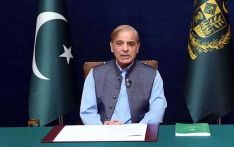 Shehbaz govt criticised in Gallup business confidence poll