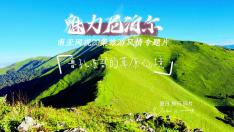 南亚网视20集旅游风情专题片《魅力尼泊尔》之鲁孔东部的草原仙境