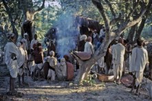 कैलालीका थारू समुदाय लवाङ्गी पूजामा रमाउँदै