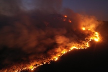 Mountain fire breaks out in north China province