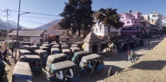 चुरेमा प्रहरीद्वारा ५१ हजार गाँजाका बोट नष्ट