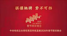 连续四年授权！南亚网视邀您共赏2026年央视春晚