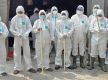 Poultry sector losses Rs. 500M due to bird flu