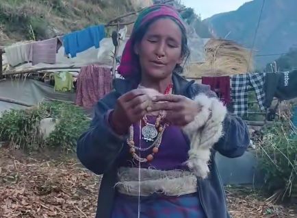 लोप हुँदै बाजुराको लेउ फेर्‍या