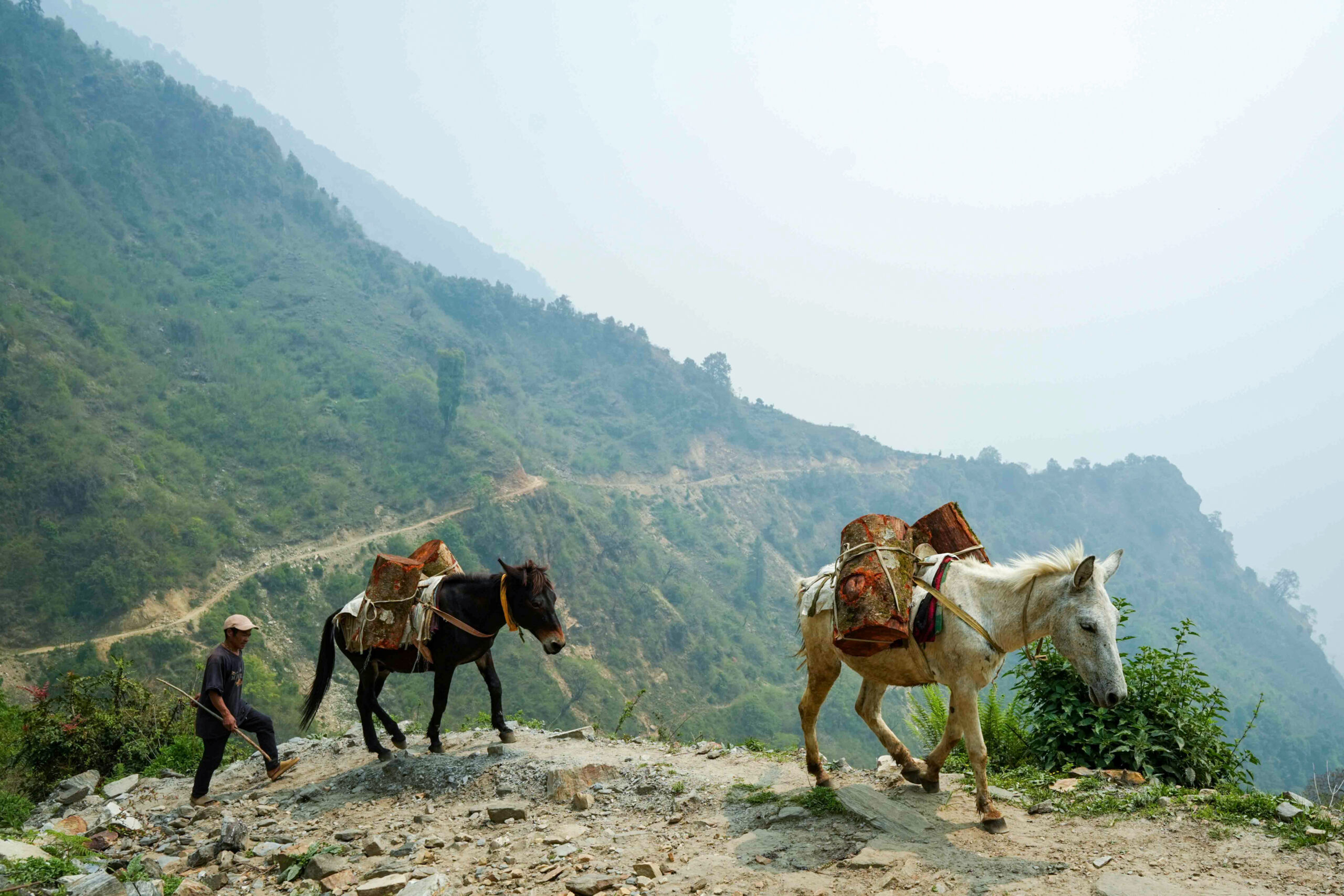 Singla_Gorkha_DSC08768.jpg-scaled