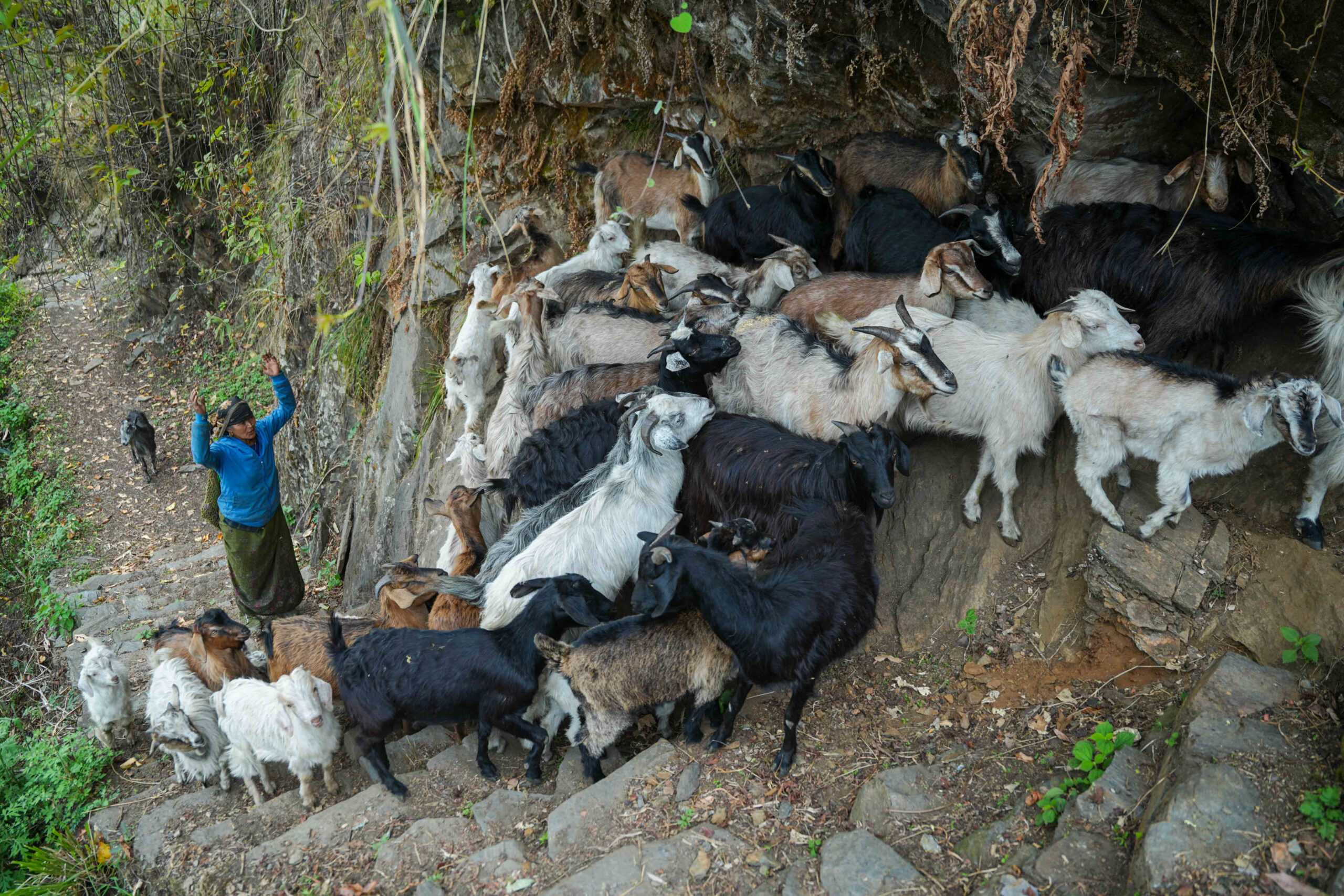 Singla_Gorkha_DSC08837.jpg-scaled