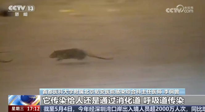 屏幕截图 2026-05-08 142900