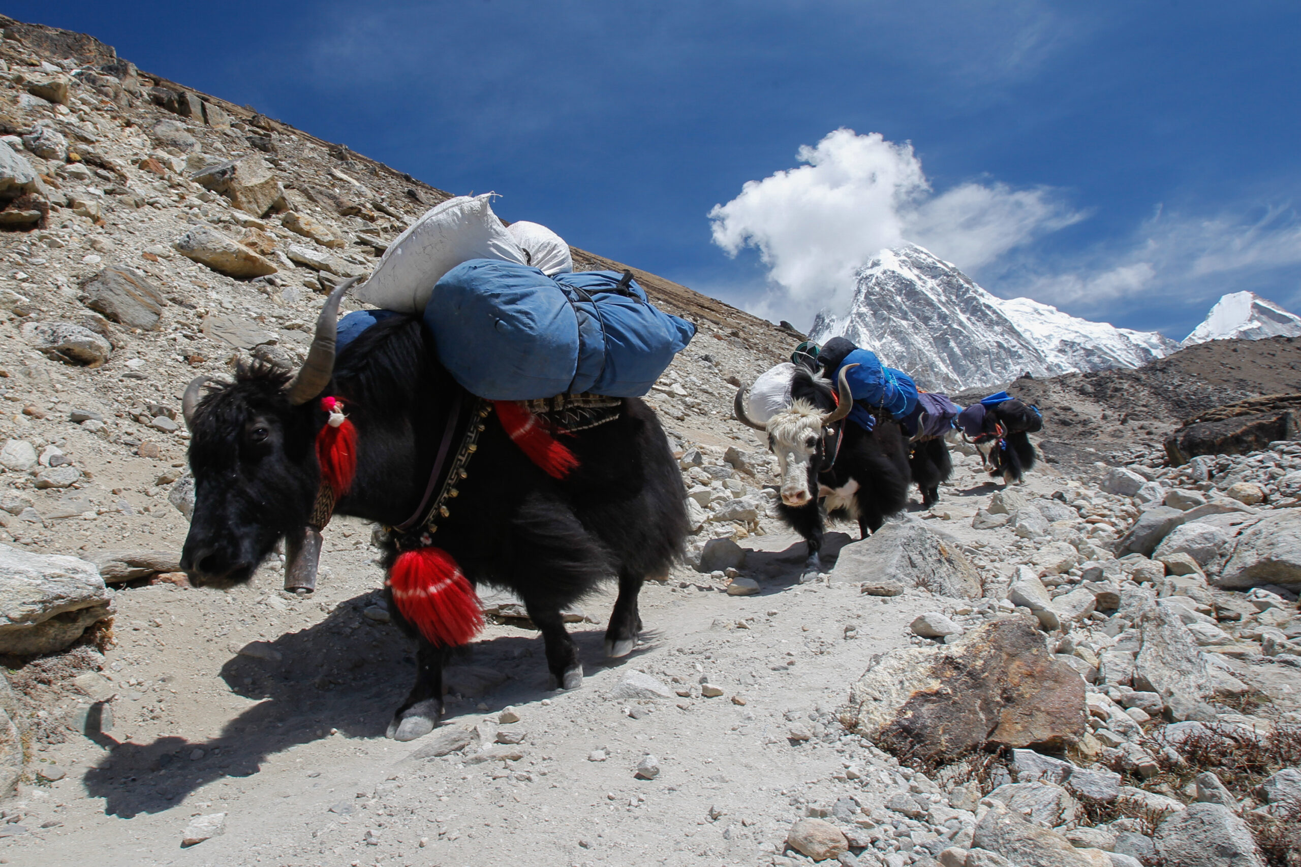 everest-base-camp-4-scaled