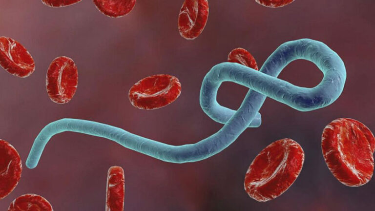 ebola-768x432