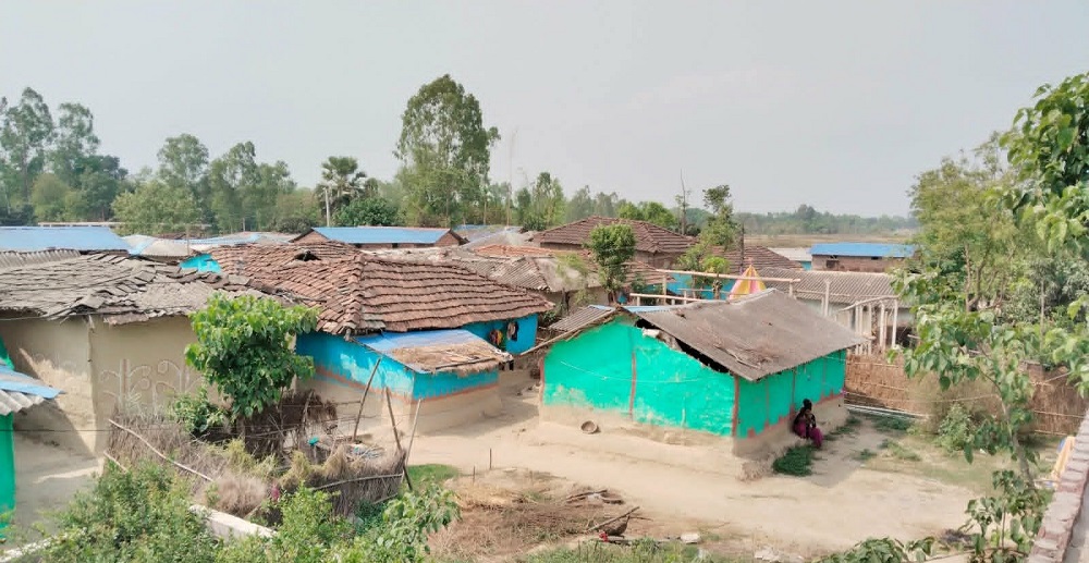mushar