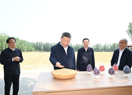 Xi calls for solid measures to modernize agriculture, rural areas