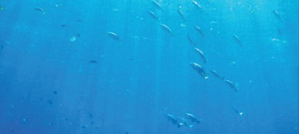 Untitled-1 (7)