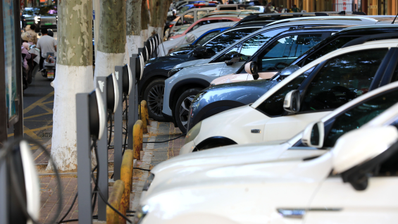 China's EREV market sees diverging demand across price segments