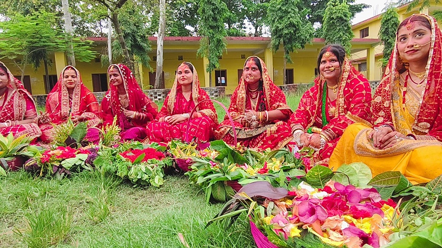 SD_SAPTARI_1000197933