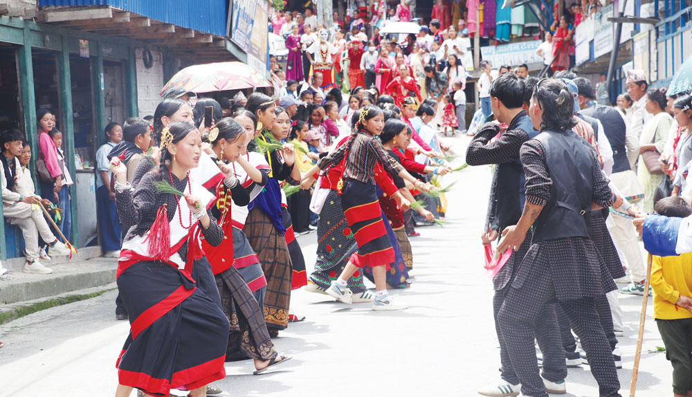 ropai-jatra-photo