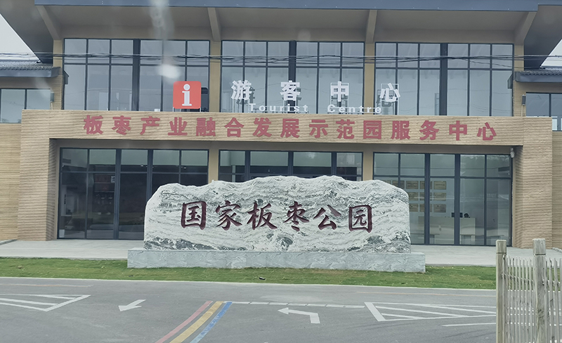 位于山西稷山县国家板枣公园。（稷山县委宣传部供图）