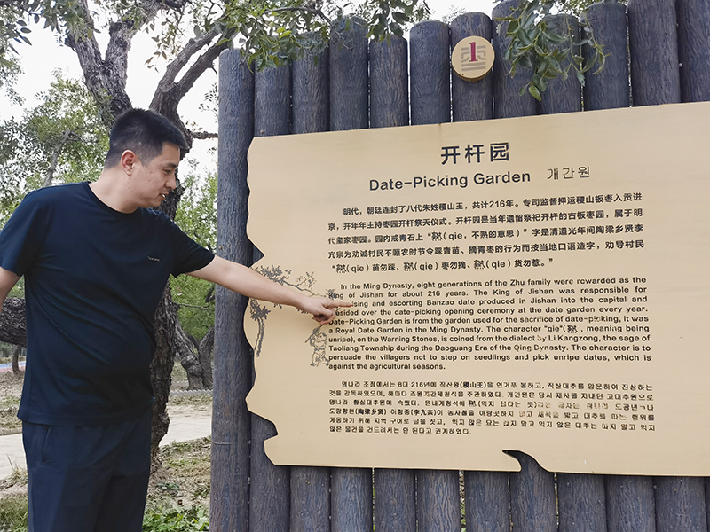 稷山板枣是稀缺性极强的国宝级农业文化遗产资源，当地企业家介绍开杆园。