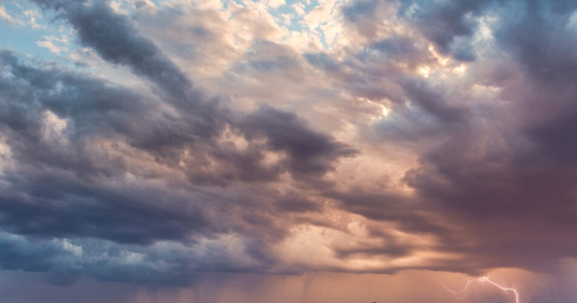monsoon_mchcRt5nnx