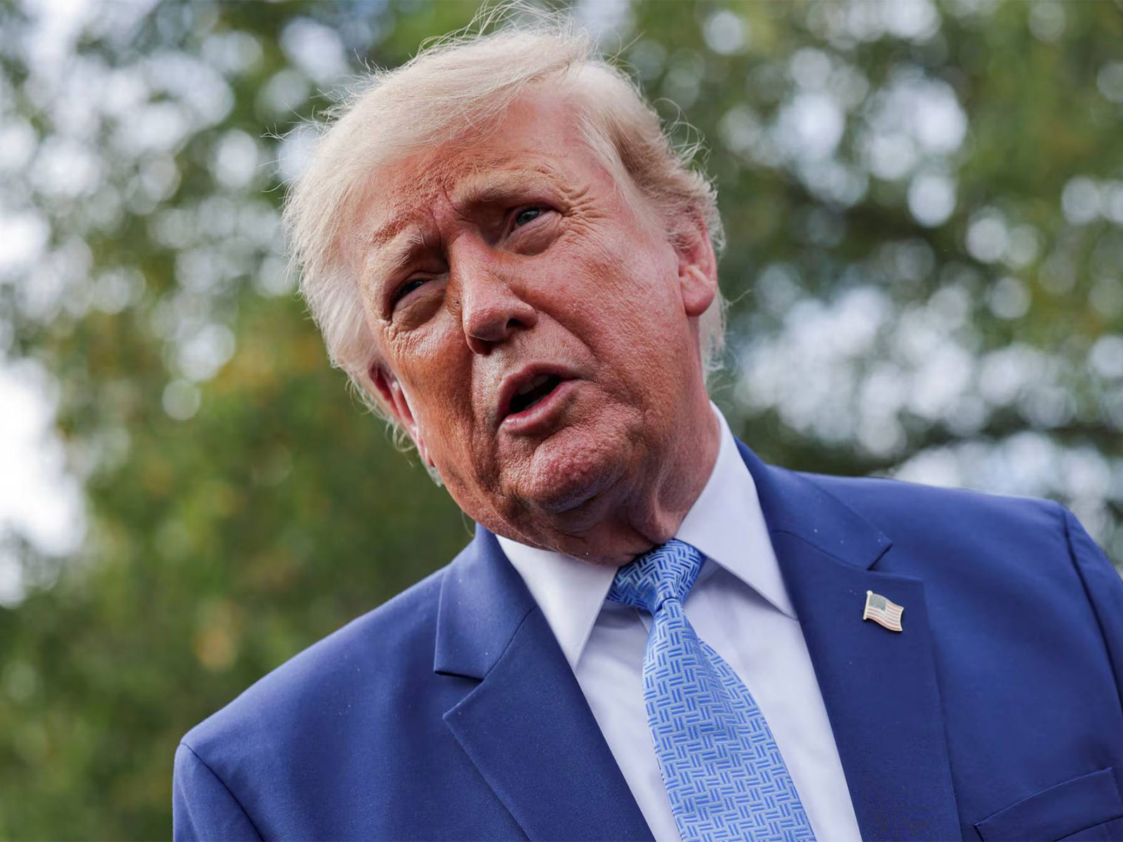 Donald-1
